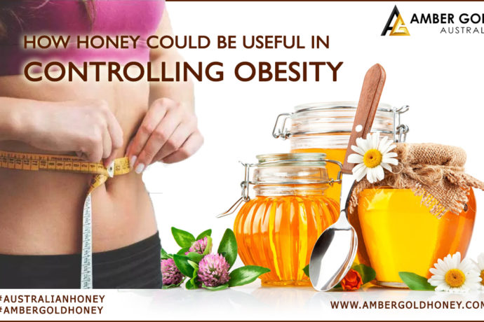 How Honey can be Useful in Controlling Obesity